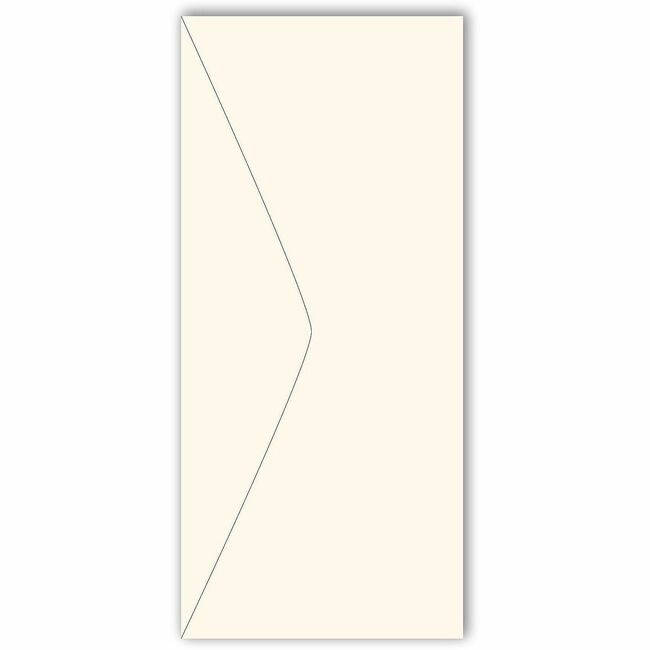 Southworth Envelope 25%CTTN #10 Iy 250 SOUJ404I-10