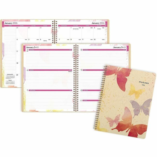 ACCO Brands AT-A-GLANCE Planner Wkly/Mnth Watrcolor AAG791905G