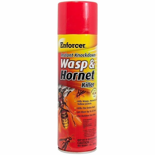 Misty / Amrep Insecticide Wsp/Hrnt 12/CT AMREWHIK16
