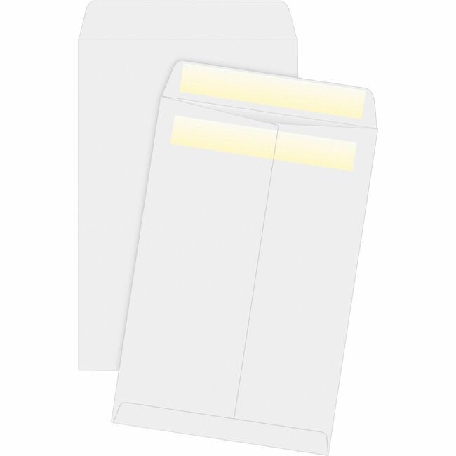 Business Source Envelope Catlg Selfsl 6X9 BSN04647