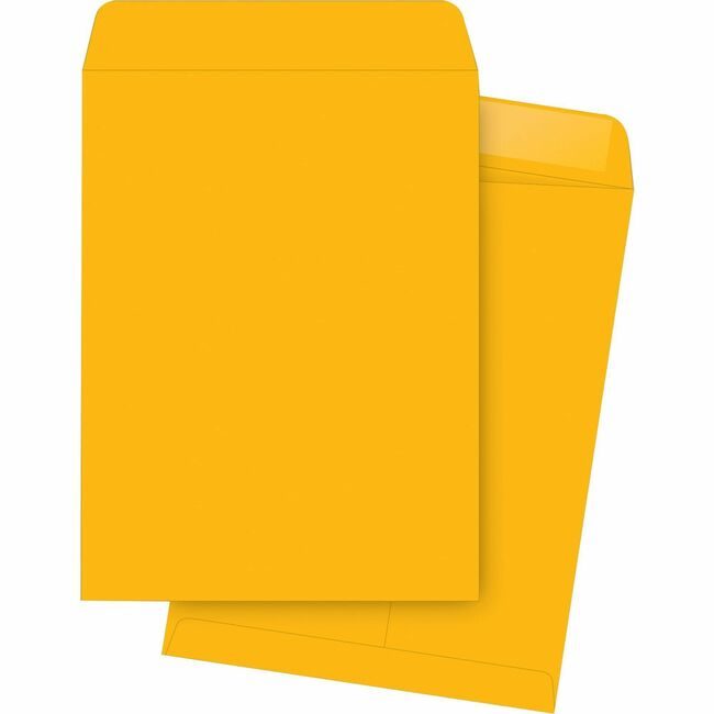 Business Source Envelope Catalog 10X15 Kft BSN42115