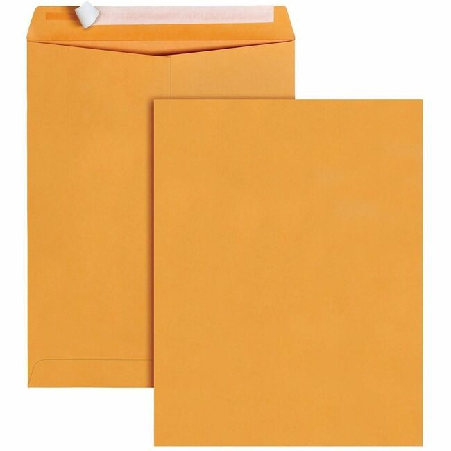 Business Source Envelope Cat 10X13 Bn Ps BSN40099