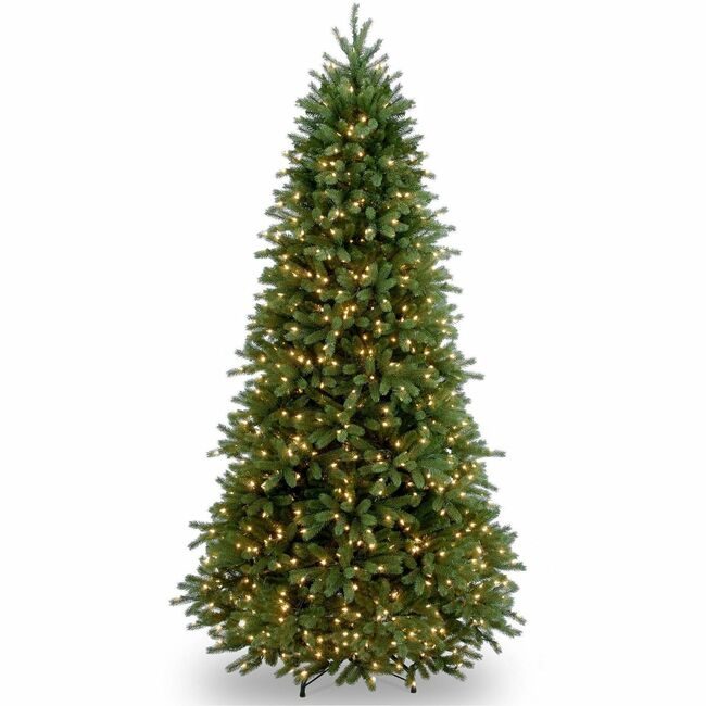 National Tree Company Jerseyf Slim Wc 6.5FT NLT729083971624