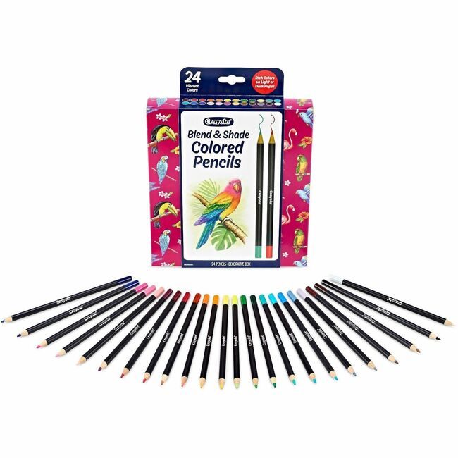 Crayola LLC Pcl Clrd Prem Blnd Shade 24 Count CYO682126