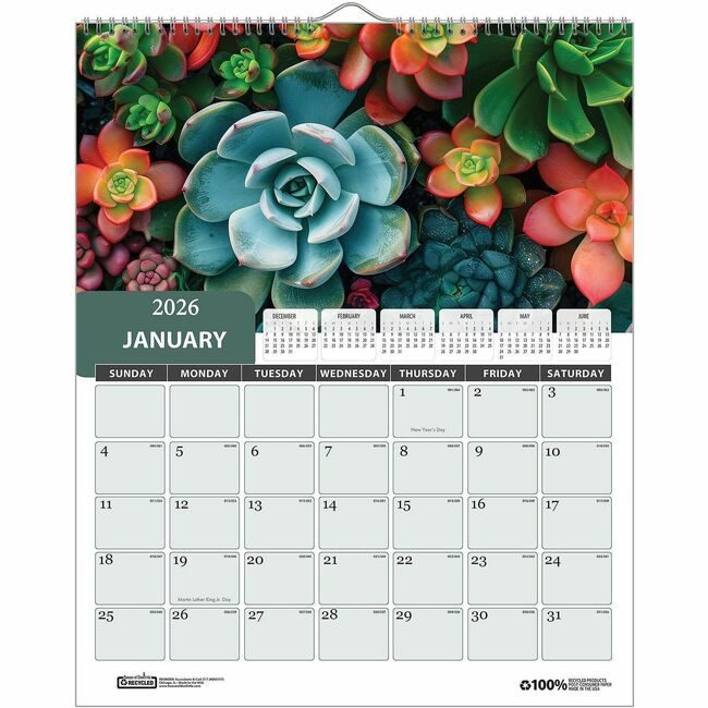 House of Doolittle Wall Calendar Cy Succulent HOD317
