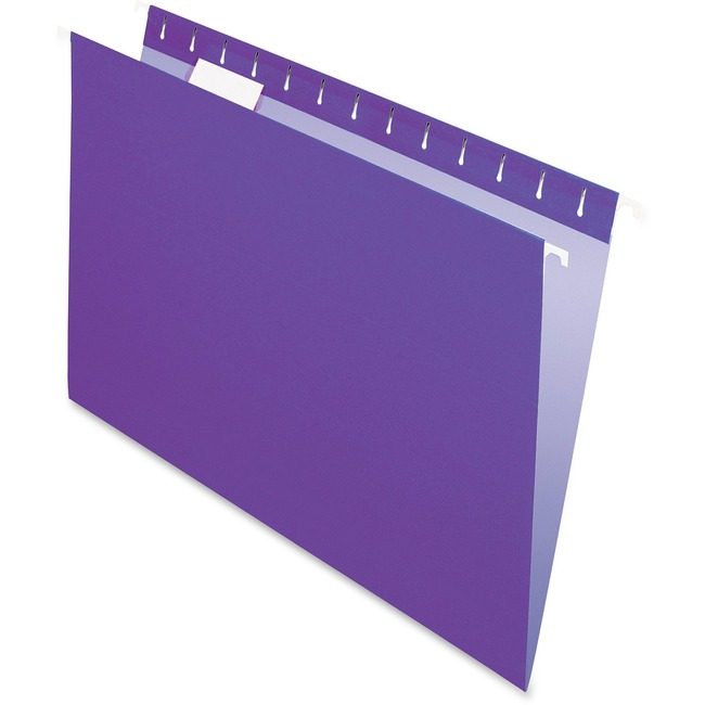 Pendaflex Folder File Hang Violet PFX81611