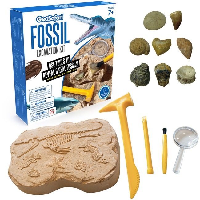 Educational Insights Kit Excavat Fosil Geosafari EII5340