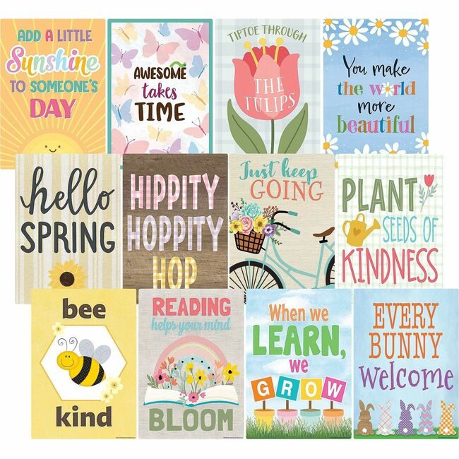 Teacher Created Resources Set Chart Writ On/Wipe Off Spr TCR6111