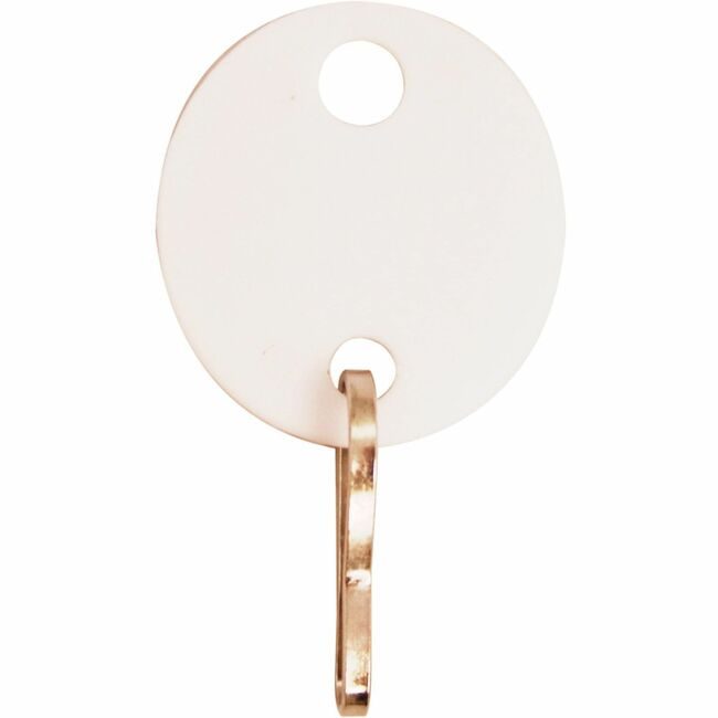 Sparco Tags Key Oval Plastic 20 Pack SPR02886