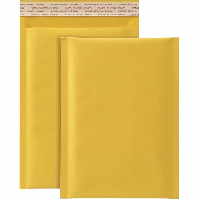Quality Park Products Mailer Bubble 6X9 Kraft 25/BX QUA95001