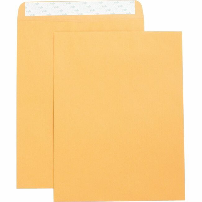 Business Source Envelope Catlg Selfsl 10X13 BSN42121