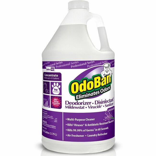 Deodorant Lavender Odoban ODO911162-G4