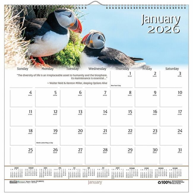 House of Doolittle Calendar Wall Wildlife HOD3731