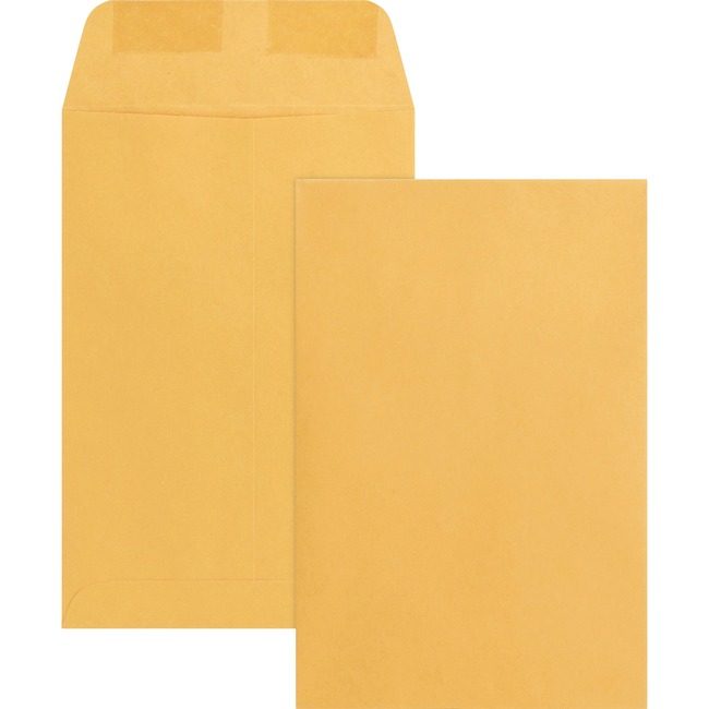 Business Source Envelope Catalog 6X9 Kft BSN42099
