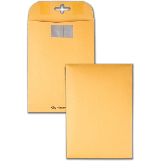 Quality Park Products Envelope Clear-Clasp 6X9 QUA43468