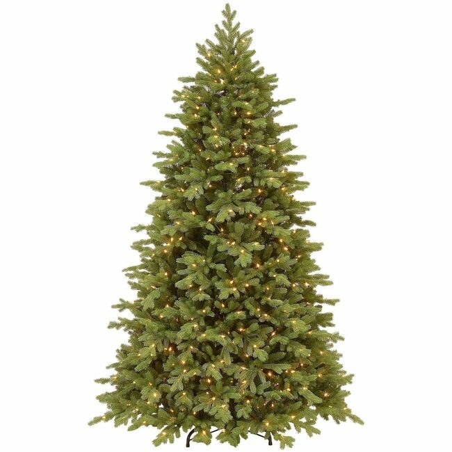National Tree Company Princeton Dled 7.5FT NLT729083786181