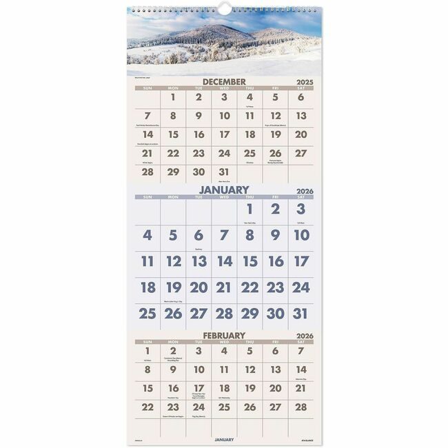 ACCO Brands AT-A-GLANCE Calendar Wall 3-MNTH Scenic AAGDMW50328