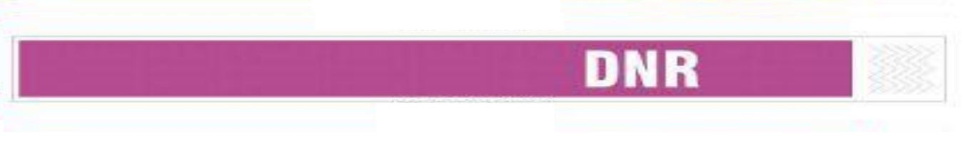 Zebra TY-DNR-PUR wristband Purple, White Hospital